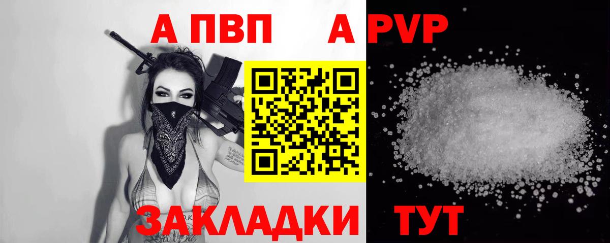 Alfa_PVP СК Белореченск