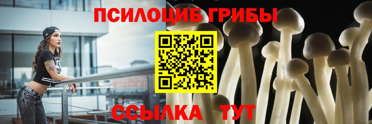 Псилоцибиновые грибы Psilocybe  Вход с VPN  Белореченск 